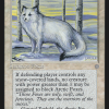 Arctic Foxes