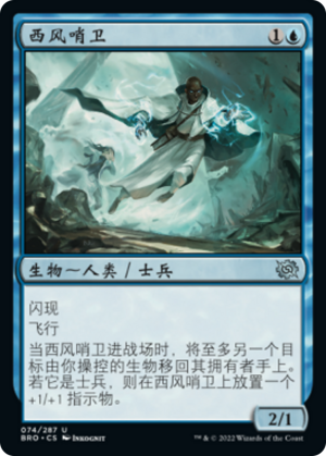 995c3f75-509d-4629-88d4-b6a1c7c9a3c8 Zephyr Sentinel