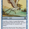 Coastal Hornclaw