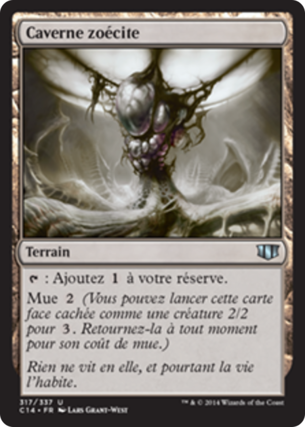 9b271a50-7b16-4ded-82ca-612f7bc45658 Zoetic Cavern