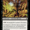 9c6fd027-25a9-45df-a438-6b562c7ffbc4-1 Black Poplar Shaman