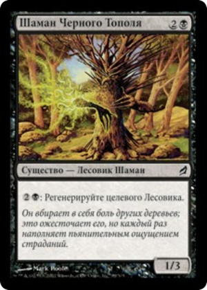 9c6fd027-25a9-45df-a438-6b562c7ffbc4-1 Black Poplar Shaman