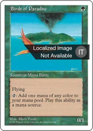 9ccd1863-ce3c-4d13-8a5e-a7e55b6e8cca Birds of Paradise