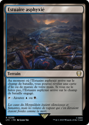 9d207b3b-16e7-4775-8af1-2a9c497bd03e Choked Estuary