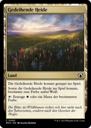 9d695772-5b55-4bbb-bea6-3c0ea343fef3 Thriving Heath