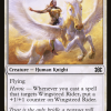 Wingsteed Rider