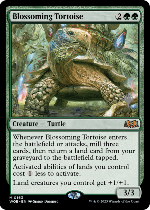9ea6a65c-38f7-4fbe-b271-f6e6fd4d3be9 Blossoming Tortoise