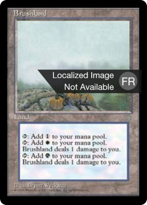 a039e70b-f3da-40d5-8653-9e22b8e45360 Brushland