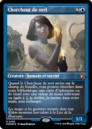 a1b549b0-a5c6-4f92-8040-dac8e643f20a Spellseeker