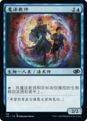 a314222e-96ee-4c67-a254-b7a84844389b Wizard Mentor