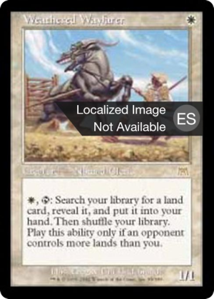 a4f96658-120a-42b2-b015-8f614546dd50 Weathered Wayfarer