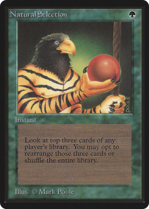 a594299e-fc3a-4d46-bd58-1a9cf7ddbdd7 Natural Selection