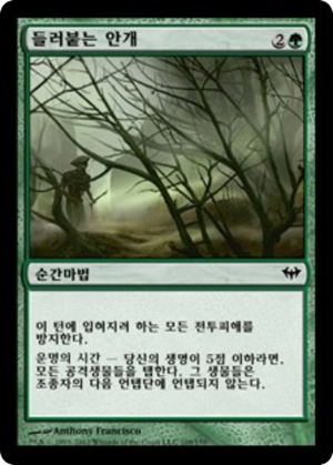 a596d110-bba6-4396-8626-67d29e00aeec Clinging Mists