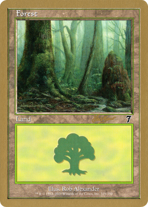 a5a56694-71fe-4174-8eea-5ab832d6caf6 Forest