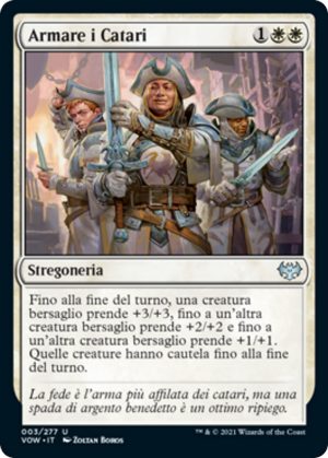 a634e1d5-5647-448a-9e46-d8d575fc00da Arm the Cathars