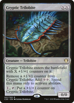 a73c630c-c98d-4f8a-9e6a-2576d5fec4ee Cryptic Trilobite