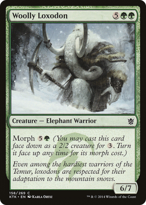 a890c55a-8746-4233-b75a-19cc760c1e8e Woolly Loxodon
