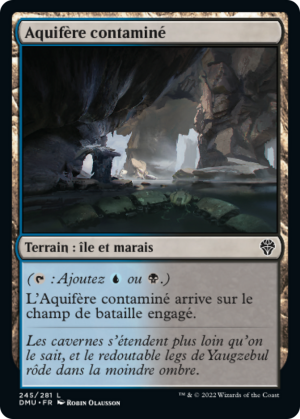 ad0989ed-1972-4a5c-b3a9-103289eb62b9 Contaminated Aquifer