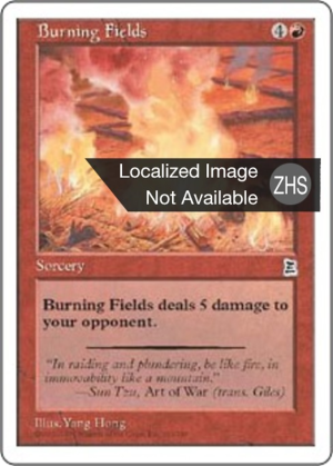 ad9d0ffa-9902-494e-aec9-ad70ee43049f Burning Fields