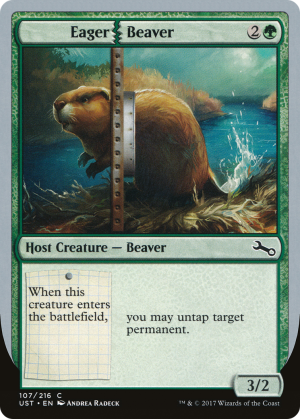 b07ec8f9-ffa9-43e9-bd75-babf3f8ed322 Eager Beaver