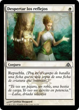 b08268b8-4943-4625-a906-0ae7bab210b3 Wake the Reflections