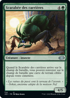 b1b931a6-280e-4c94-9471-01f7a18625d5 Quarry Beetle