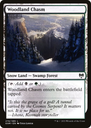 b2dd0b71-5a60-418c-82fc-f13d1b5075d0 Woodland Chasm