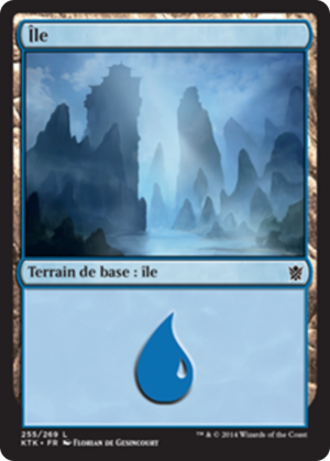 b362afe3-cb76-4d85-8c80-ccce3e48e23a Island