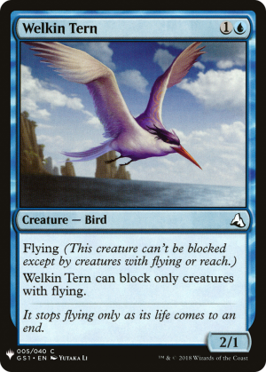 b39b7d2b-039f-49b4-a76e-4b6231542bb4 Welkin Tern