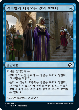 b3b2f236-ad47-4bcc-8266-0c442410fc98 You See a Guard Approach