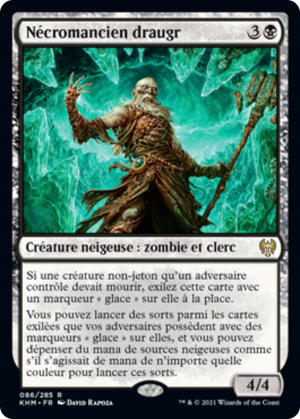 b3e803dd-e040-4331-a3e6-253c39dfb9f1 Draugr Necromancer