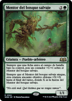 b419fabb-f4d2-4b89-8c17-978824abbbc3 Wildwood Mentor