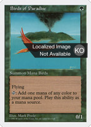 b4b34e57-5ec4-45a6-8e31-e93ea7c65fd6 Birds of Paradise