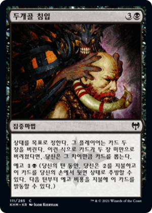 b5887577-5d26-485b-aa03-a533ecd26df5 Skull Raid