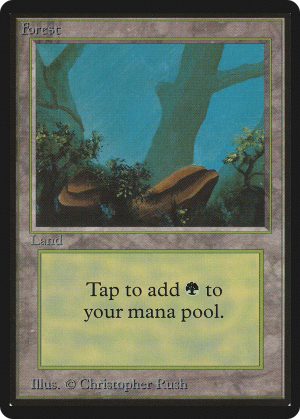 b5a922eb-49c7-45f0-92bc-671d7a8758f4 Forest