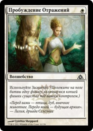 b5ef74b3-d4b3-49a2-b9a3-d75013a32f73-1 Wake the Reflections