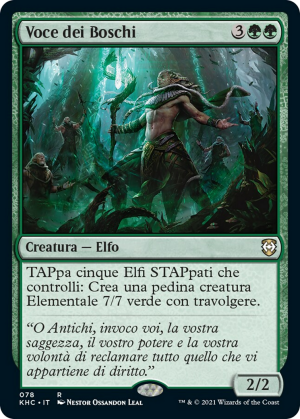 b6564794-f7c0-44c1-b22f-37f90a6f9b18 Voice of the Woods