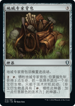 b730c29f-32c8-485d-b02f-450b552e9968 Dungeoneer's Pack