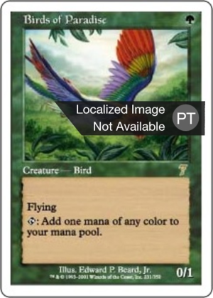 b74d8629-1468-42f7-8420-b1b8a4d191c0 Birds of Paradise