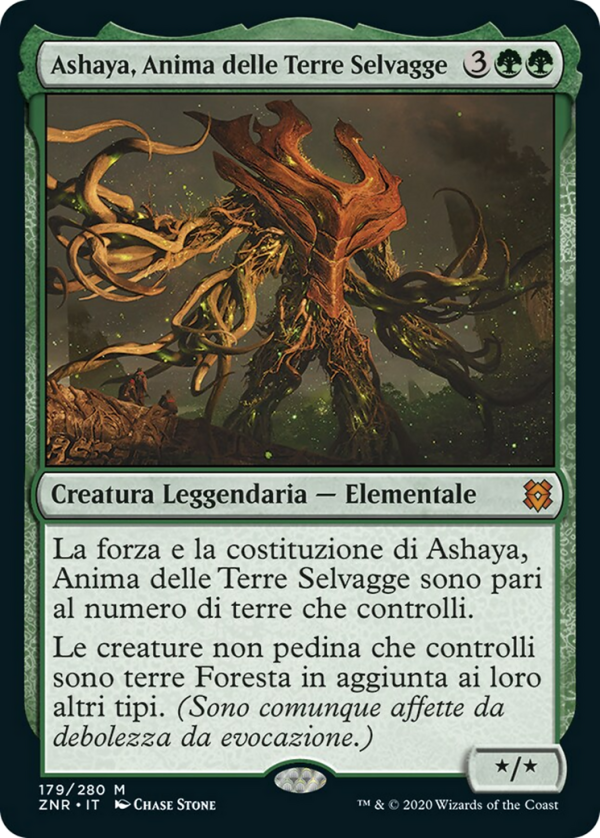 Ashaya, Soul of the Wild