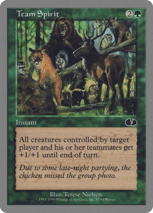 b8369211-e7e1-45e1-a142-274f4236e230 Team Spirit