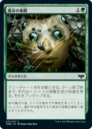 b852fd06-fcaa-4e34-be2f-bd97428c0294 Witch's Web