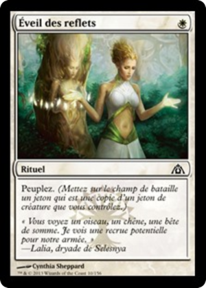 b9318722-f15c-4d73-8c15-2b431479eed7 Wake the Reflections