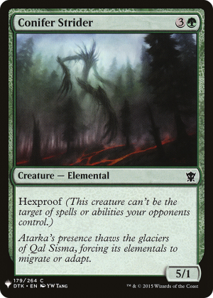 baac2239-789a-42e6-8eb6-0b26836efb64 Conifer Strider