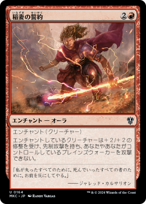 bd07f320-96a0-4645-92fa-078acf890ba0 Vow of Lightning