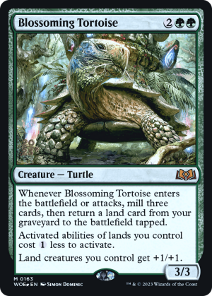 bfd5cd1e-484e-4e4d-8c5e-1f81afbb3fe2 Blossoming Tortoise