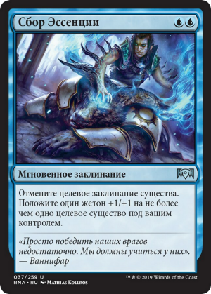 c15e9c50-0989-48df-a84a-28e2604f1cea Essence Capture