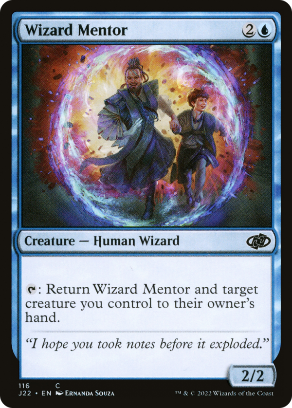 c24faaf5-f63f-4c46-9bed-ae4693ff8e9a Wizard Mentor
