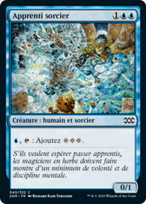 c598a802-c774-4a08-b763-710519fc1e77 Apprentice Wizard