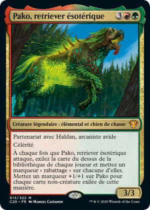 c66d908c-bcf6-4e6c-b9c5-01cca9104ad1 Pako, Arcane Retriever